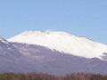 旅人の宿 三輪舎 写真