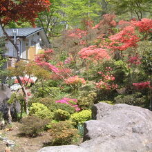写真：楽天トラベル