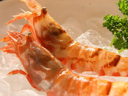 佐津温泉 潮風香る内湯の宿 かめや 写真