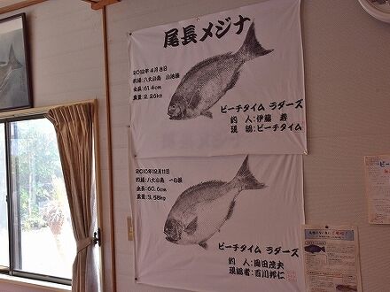 ビーチタイム ＜八丈島＞ 写真