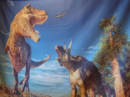 四季彩の宿 花椿 写真