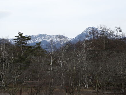 八ヶ岳温泉　樅の木荘 写真
