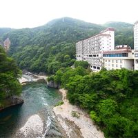 鬼怒川温泉ホテルニューおおるり 写真