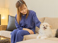 愛犬 お宿 写真