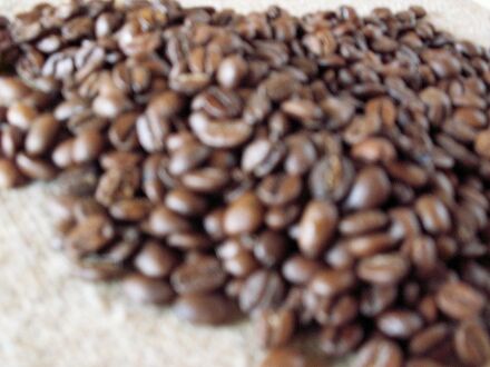 安比高原 ペンションアーラ・ワッカ 写真