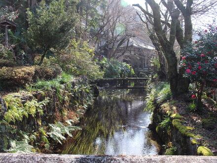 ゲストハウス居醒庵 写真