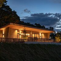 SOOTHE FOREST 写真