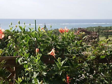 コテージしず和　＜宮古島＞ 写真