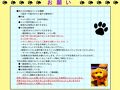 民宿旅館　たんぽぽ＜長崎県＞ 写真