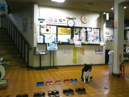瀬戸瀬温泉 写真