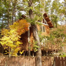 写真：楽天トラベル