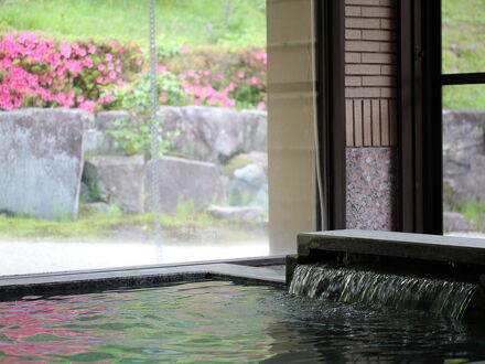 山神温泉　湯乃元館 写真