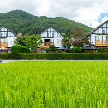 写真：楽天トラベル