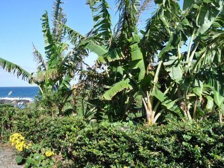 屋久島　民宿　野の花　＜屋久島＞ 写真