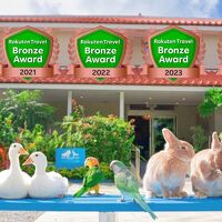 リトルマーメイドホテル石垣島 写真