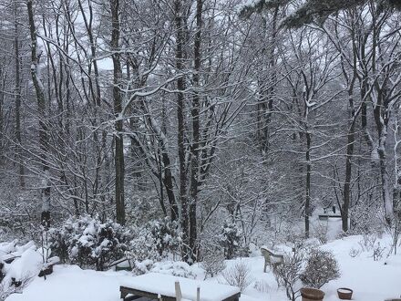 カサ・デ・ポコ 写真