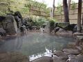 源泉掛け流しの宿 の猿Ｈｏｓｔｅｌ 写真