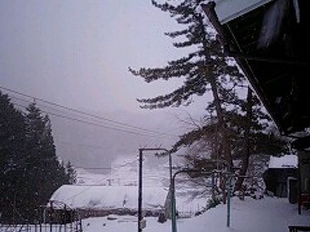 民宿　ゆりか 写真