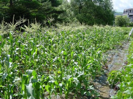 湖里　清流荘 写真