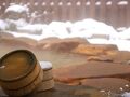 信州角間温泉 岩屋館 写真