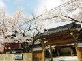 かくれ里　清流荘 写真