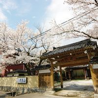 かくれ里　清流荘 写真