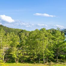 写真：楽天トラベル