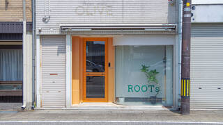 Travelers' house ROOTs