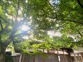 天徳院 写真