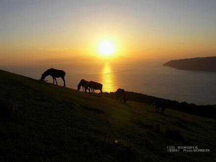 都井岬　国民宿舎 写真