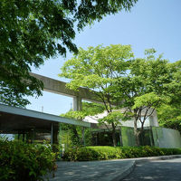 アイ・アイ・ランド 写真