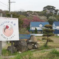 ペンション永倉　＜佐渡島＞ 写真