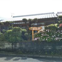 コテージ 屋久杉の家 写真