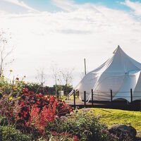 くじゅう花公園キャンピングリゾート花と星 写真