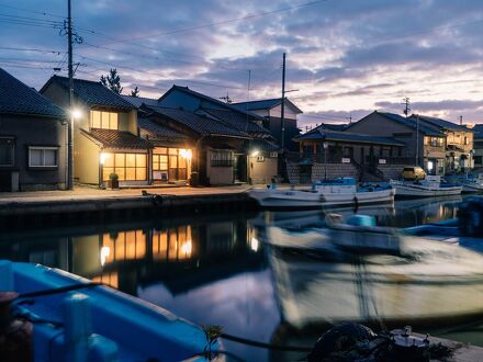 水辺の民家ホテル カモメとウミネコ 写真