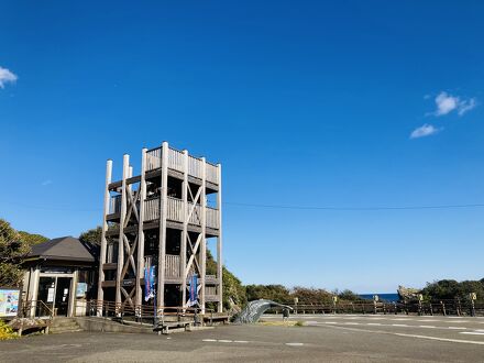 民宿　室戸荘 写真