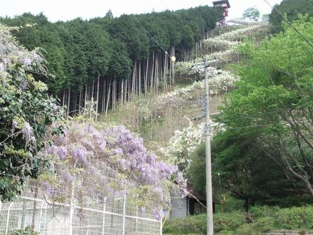 きのくに中津荘 写真