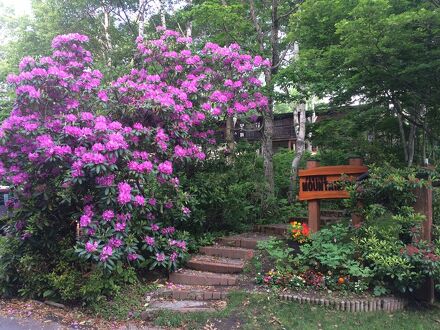 ペンション マウンテンパパ 写真