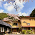 油山温泉　油山苑 写真