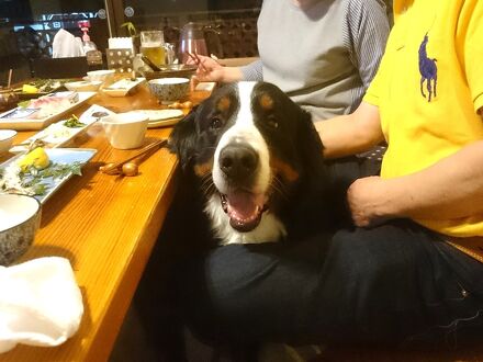 Ｂ＆Ｂ犬遊楽 写真