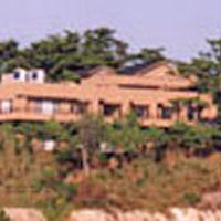 荒崎海音　さがみや 写真