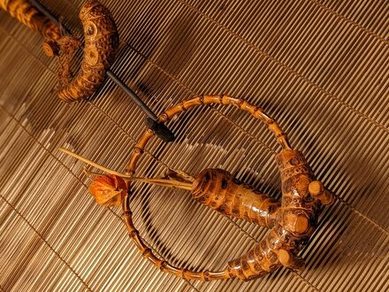美知の里 写真