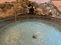 高萩 山の湯 写真