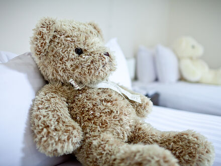 緩・慢 Adagio 写真