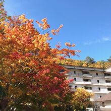 写真：楽天トラベル