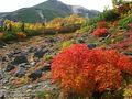 温泉旅館けやき山荘 写真