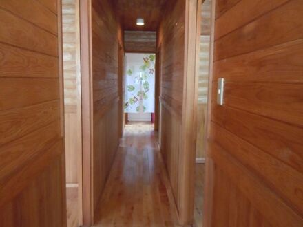 民宿　樹の実　＜屋久島＞ 写真