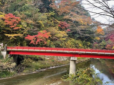 養老渓谷温泉郷 温泉旅館 川の家 写真