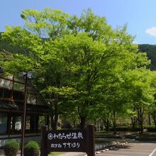 写真：楽天トラベル