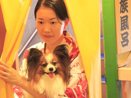 熱海温泉 料理旅館 渚館の宿泊予約なら フォートラベル の格安料金比較 熱海